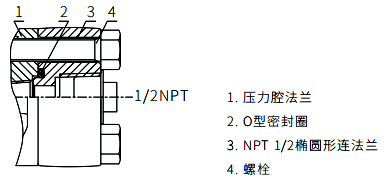 1/2NPT不锈钢椭圆形法兰