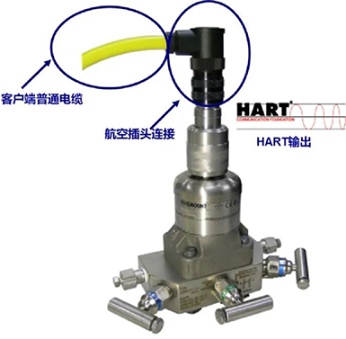 3051S压力变送器的全封装结构 3051S压力变送器的全封装结构