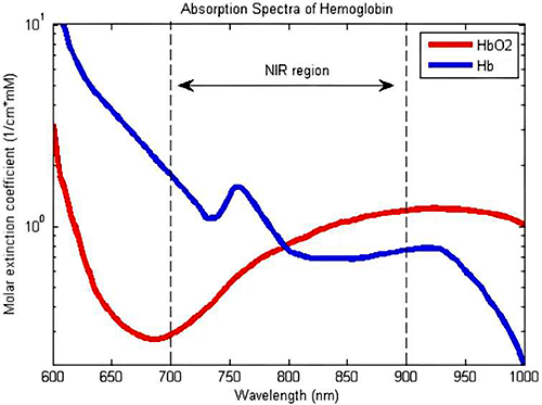 含氧血红蛋白和脱氧血红蛋白的吸收光谱