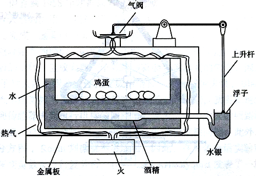 培育箱温度控制装置示意图